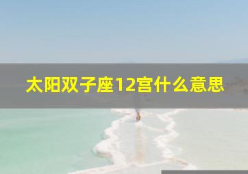 太阳双子座12宫什么意思