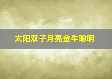 太阳双子月亮金牛聪明