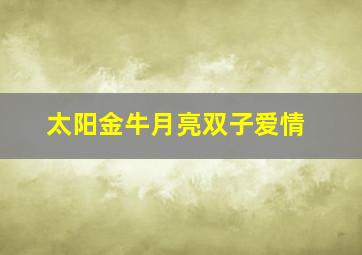 太阳金牛月亮双子爱情