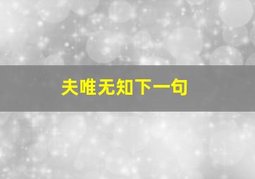 夫唯无知下一句