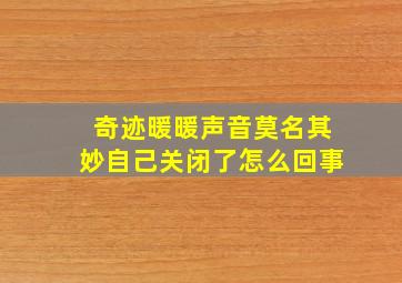 奇迹暖暖声音莫名其妙自己关闭了怎么回事