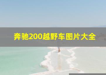 奔驰200越野车图片大全