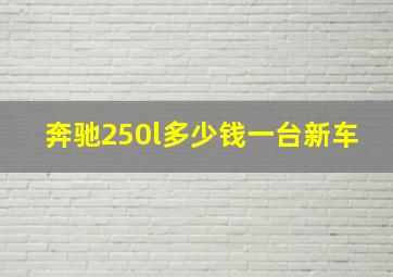 奔驰250l多少钱一台新车