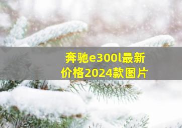 奔驰e300l最新价格2024款图片