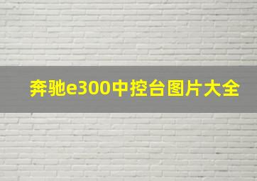 奔驰e300中控台图片大全