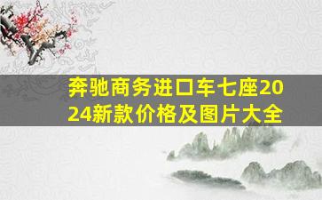 奔驰商务进口车七座2024新款价格及图片大全