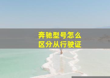 奔驰型号怎么区分从行驶证