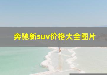 奔驰新suv价格大全图片