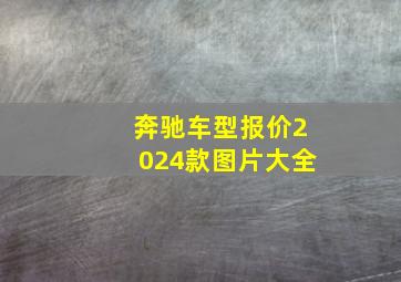 奔驰车型报价2024款图片大全