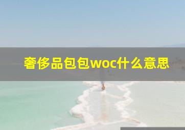 奢侈品包包woc什么意思