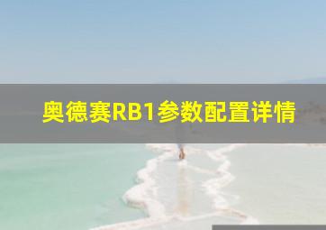 奥德赛RB1参数配置详情