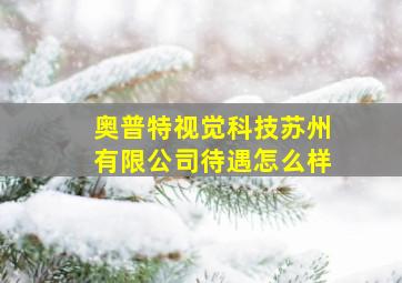 奥普特视觉科技苏州有限公司待遇怎么样