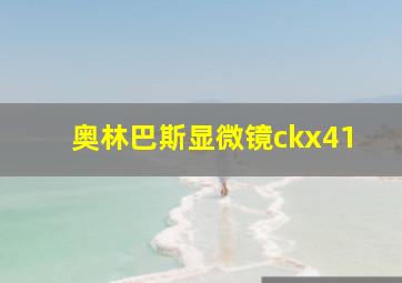 奥林巴斯显微镜ckx41