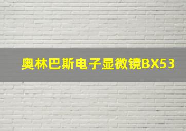 奥林巴斯电子显微镜BX53