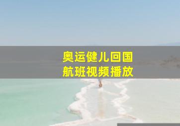 奥运健儿回国航班视频播放