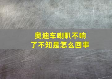 奥迪车喇叭不响了不知是怎么回事