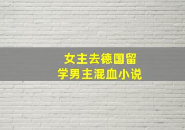 女主去德国留学男主混血小说