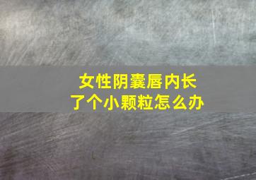 女性阴囊唇内长了个小颗粒怎么办