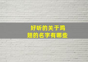 好听的关于鸡翅的名字有哪些