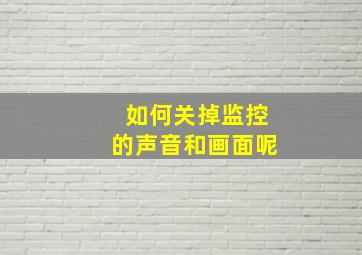 如何关掉监控的声音和画面呢