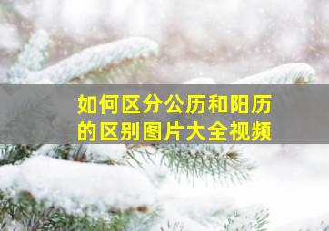 如何区分公历和阳历的区别图片大全视频