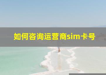 如何咨询运营商sim卡号