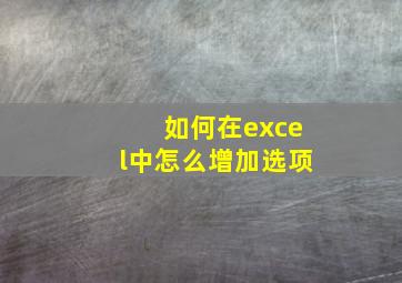 如何在excel中怎么增加选项