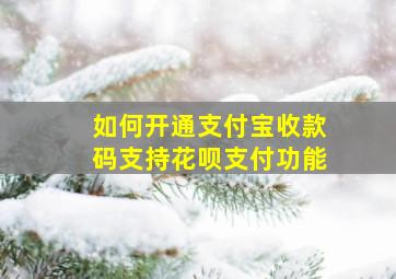 如何开通支付宝收款码支持花呗支付功能