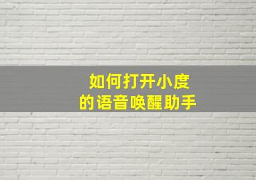 如何打开小度的语音唤醒助手