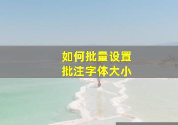 如何批量设置批注字体大小