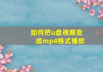 如何把u盘视频变成mp4格式播放