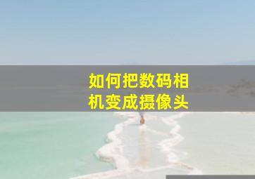 如何把数码相机变成摄像头