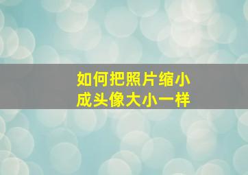 如何把照片缩小成头像大小一样