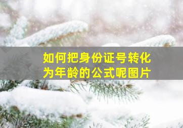 如何把身份证号转化为年龄的公式呢图片