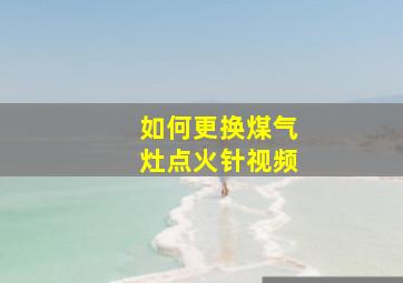 如何更换煤气灶点火针视频