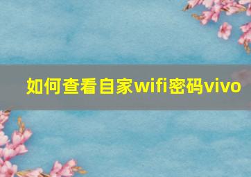 如何查看自家wifi密码vivo