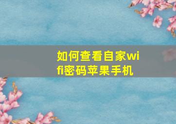 如何查看自家wifi密码苹果手机