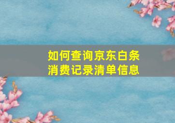 如何查询京东白条消费记录清单信息