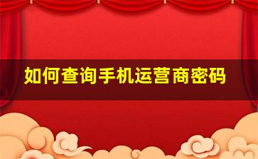 如何查询手机运营商密码