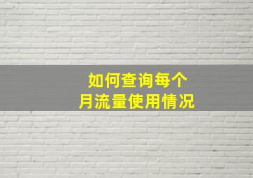 如何查询每个月流量使用情况