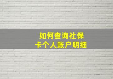 如何查询社保卡个人账户明细