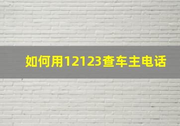 如何用12123查车主电话