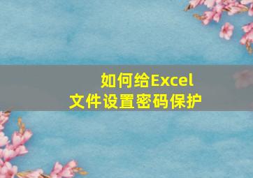 如何给Excel文件设置密码保护