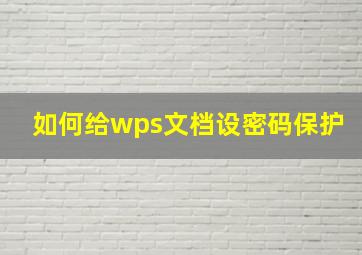 如何给wps文档设密码保护