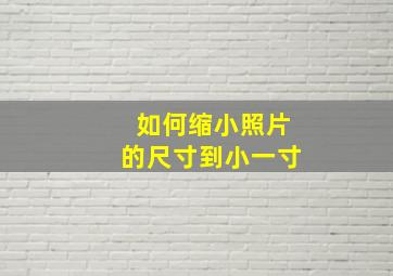 如何缩小照片的尺寸到小一寸