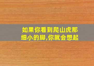 如果你看到爬山虎那细小的脚,你就会想起