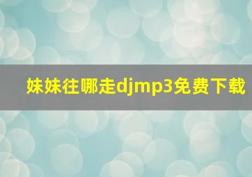 妹妹往哪走djmp3免费下载