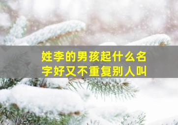 姓李的男孩起什么名字好又不重复别人叫