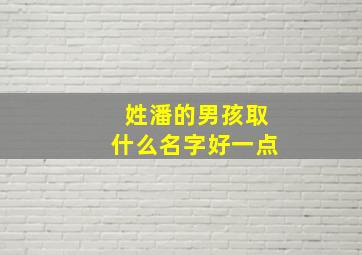 姓潘的男孩取什么名字好一点