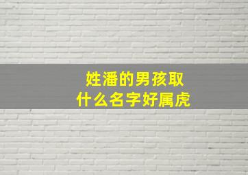 姓潘的男孩取什么名字好属虎